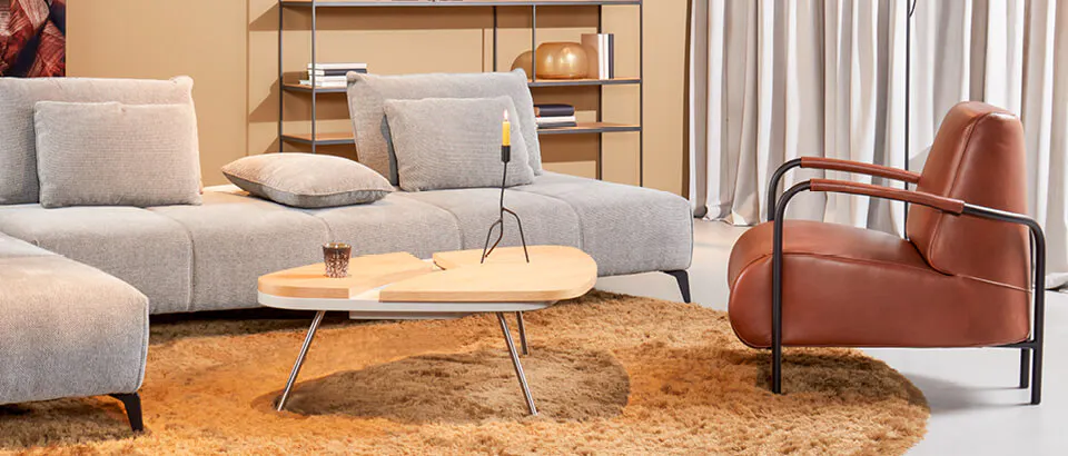 bruine fauteuils Eijerkamp