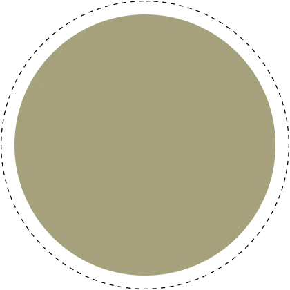 LAB Paint Moss 41