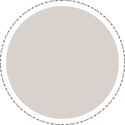LAB-paint-Mushroom-287