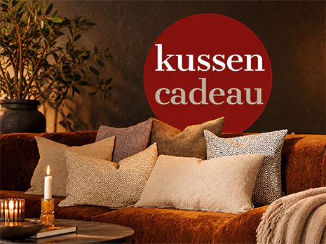 Eijerkamp-Kussen-cadeau