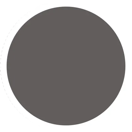 Dark Gull Gray