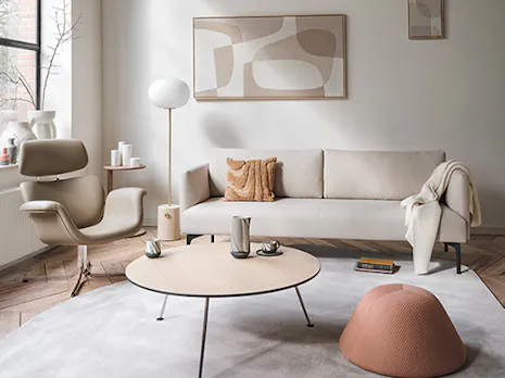 Scandinavisch Design interieur