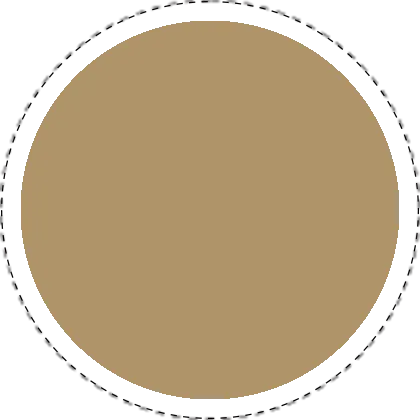 Bulgur-PPG1094-6-Wheat