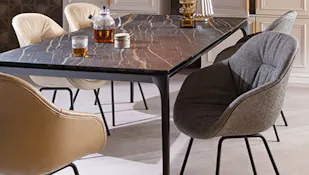 tips kiezen eetkamerstoelen Eijerkamp