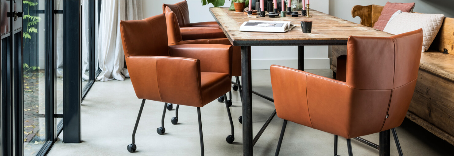 Eetkamerstoelen buisframe Eijerkamp