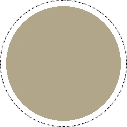 Karwei Fossil